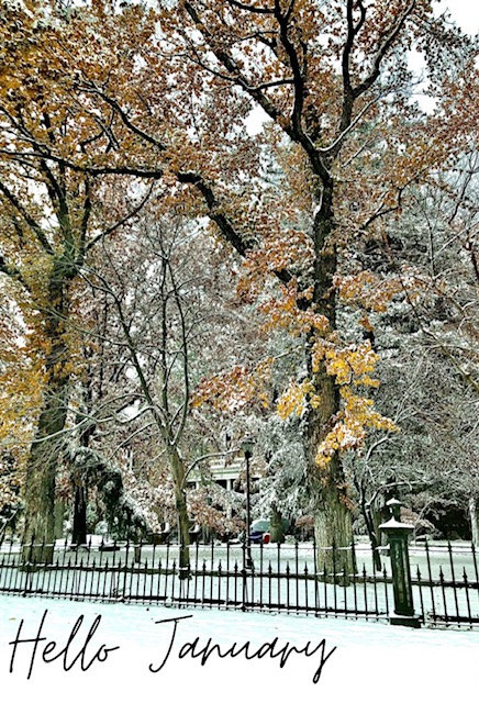 January Prayer, A New Beginning