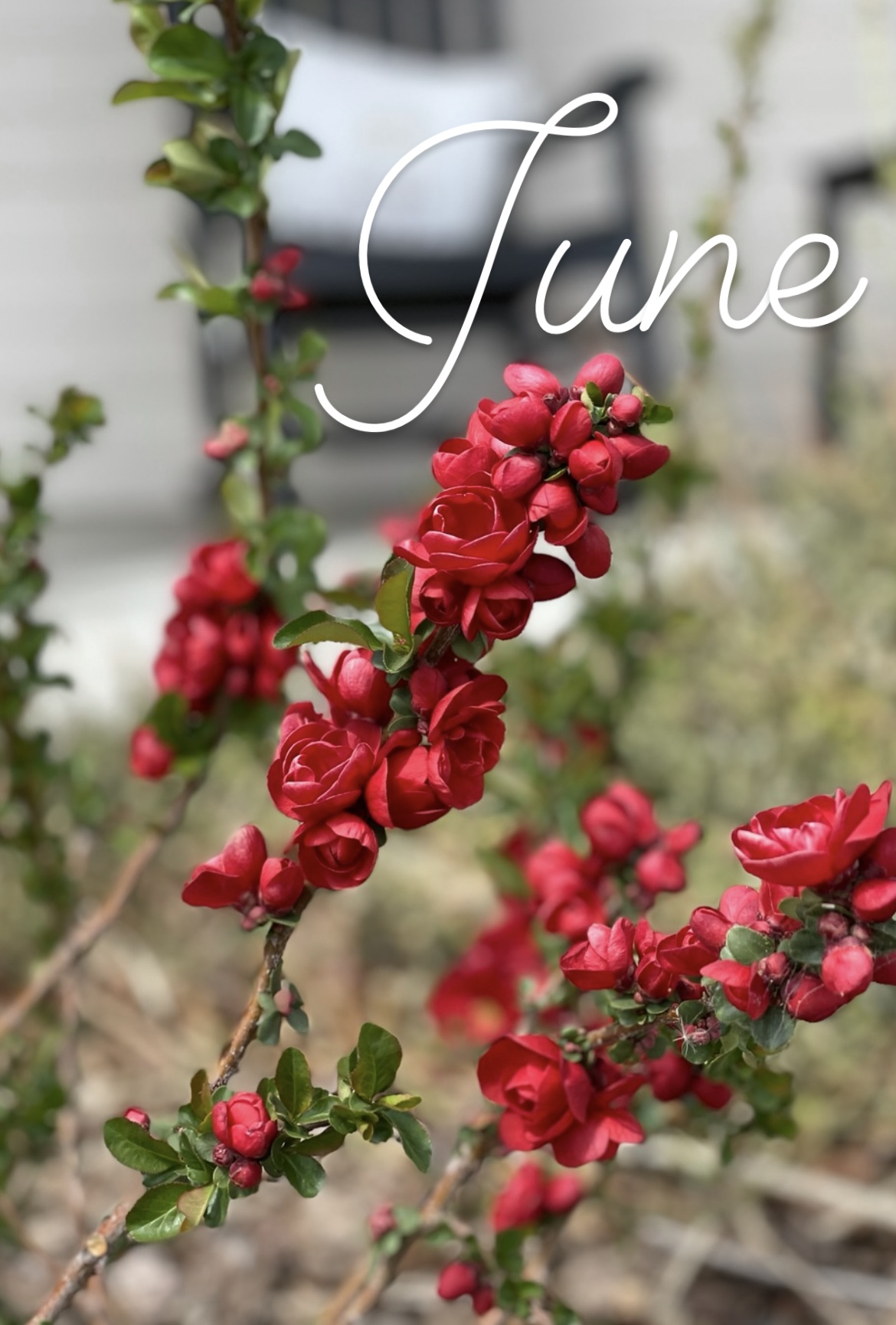June Prayer, The Purest Righteous Form of Love